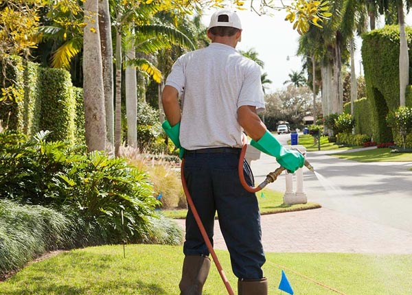 About Roseburg OR Pest Control Pros